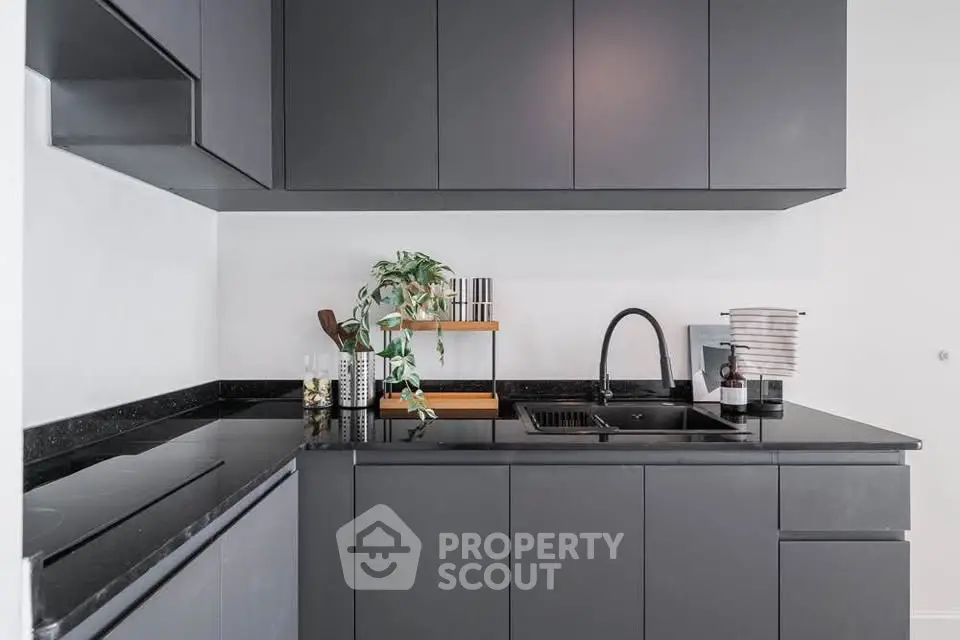Modern kitchen with sleek black cabinetry and minimalist design