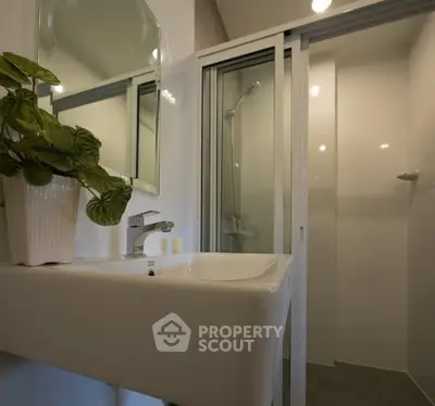 Modern bathroom with sleek sink and glass shower enclosure, featuring a stylish potted plant for a fresh touch.