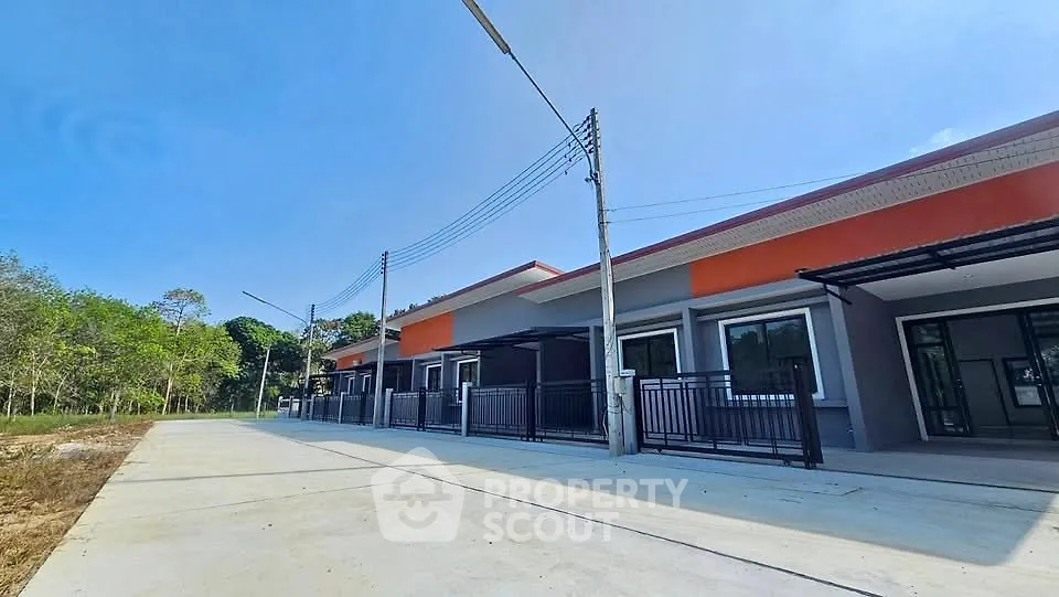 Modern row of newly built single-story homes with vibrant facades and spacious driveways.