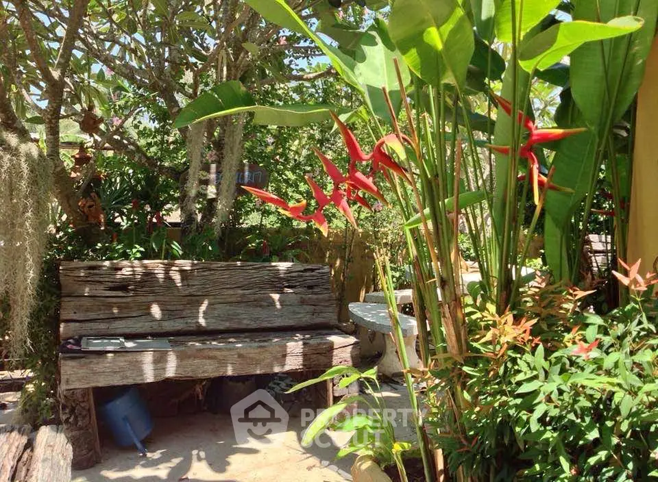 Charming garden area with lush greenery and rustic wooden bench, perfect for relaxation and outdoor enjoyment.