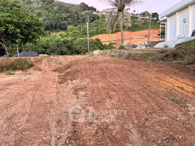 Spacious land plot with potential for development in a serene natural setting.