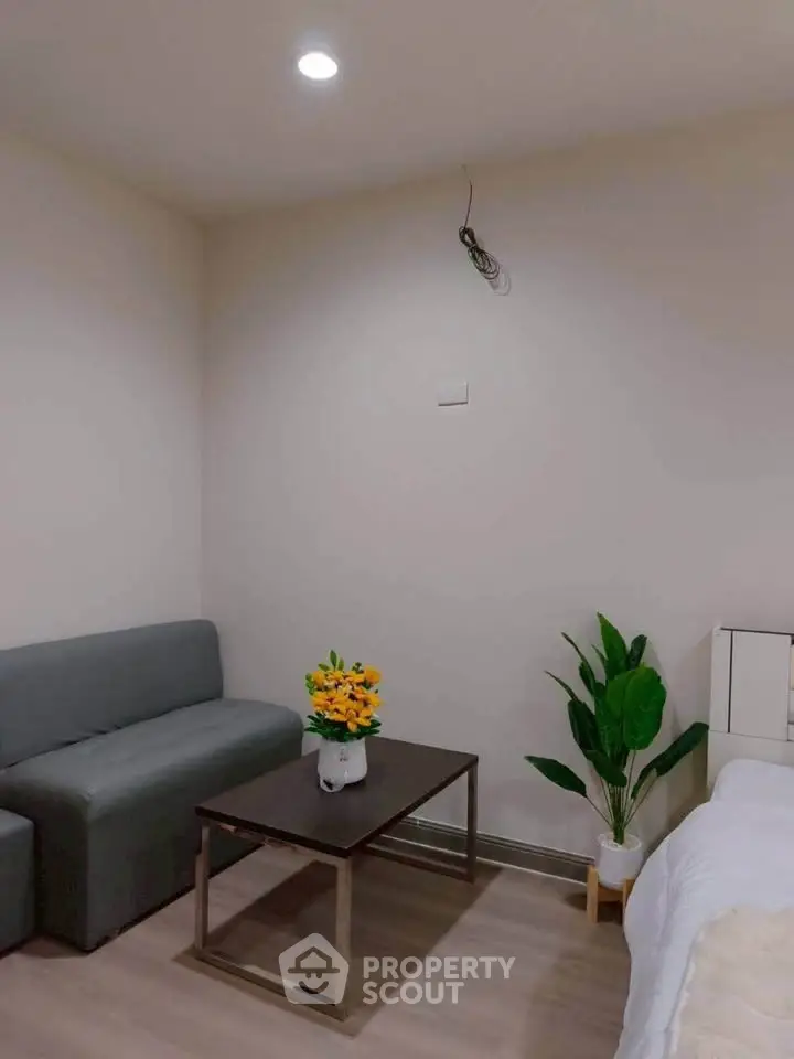 Cozy living room with modern sofa, coffee table, and vibrant plant decor.