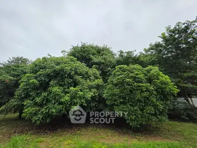 Lush green garden with dense trees under a cloudy sky, perfect for serene outdoor living.