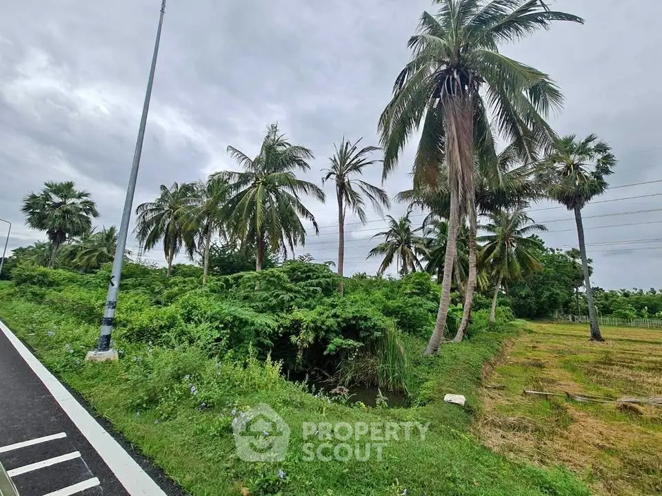 Lush tropical landscape with palm trees and greenery, ideal for real estate development.