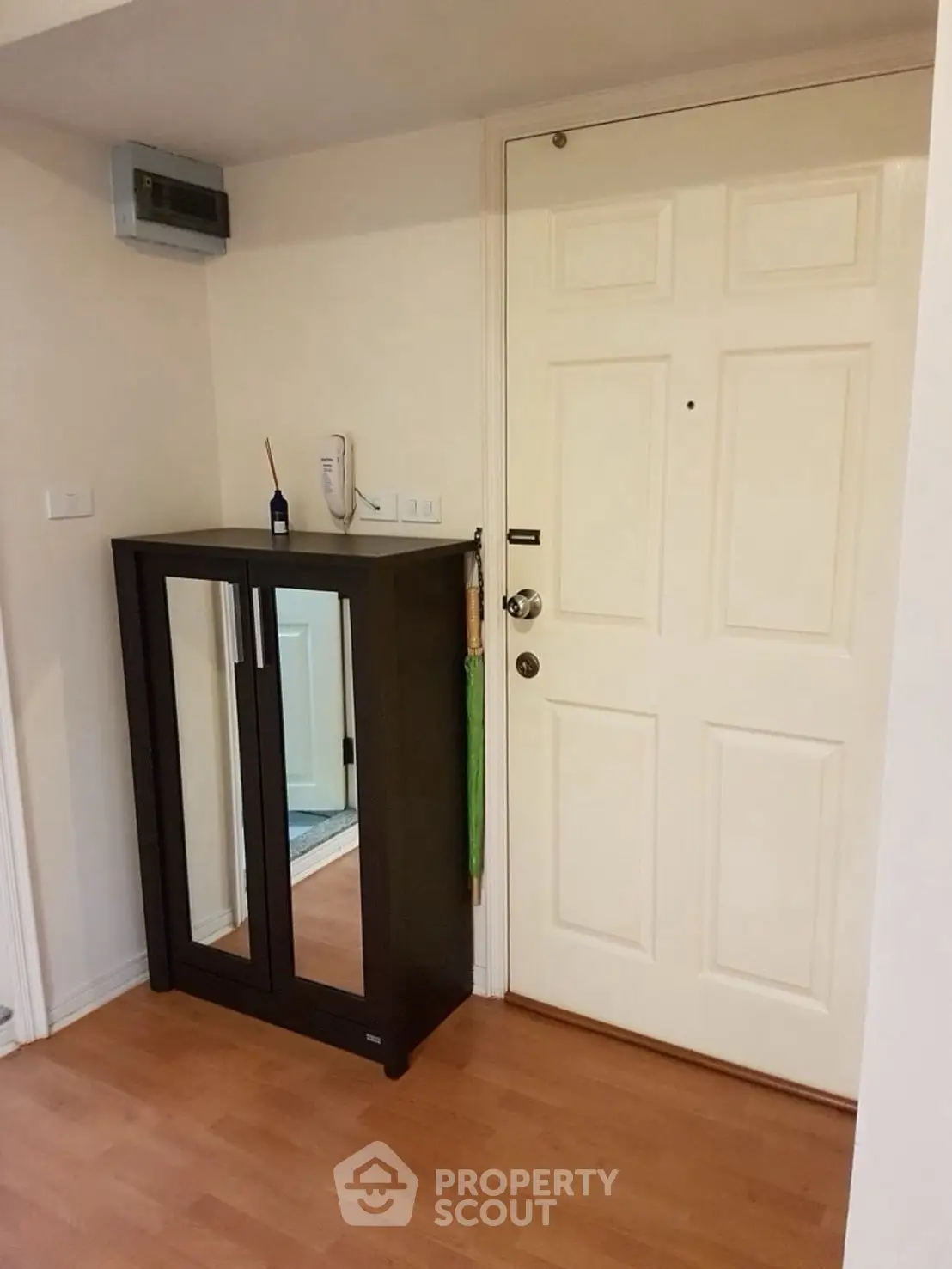 Cozy entrance with wooden flooring and mirrored cabinet