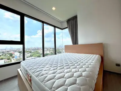 image_rental-30908560