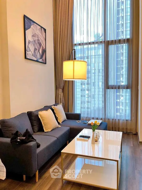 image_rental-30931486