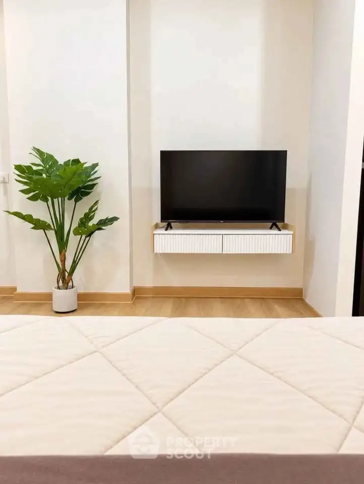 Modern living room with sleek TV setup and stylish plant decor