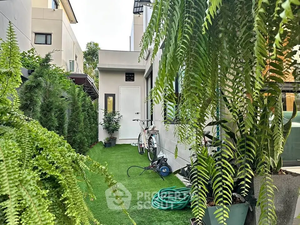 Charming garden space with lush greenery and bicycle, perfect for relaxation and outdoor activities.