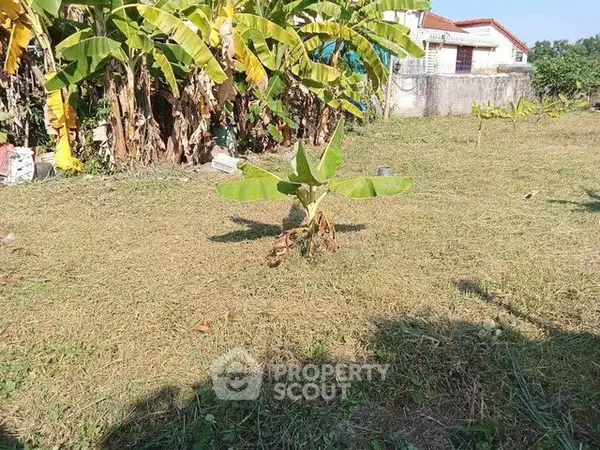 image_rental-29690100