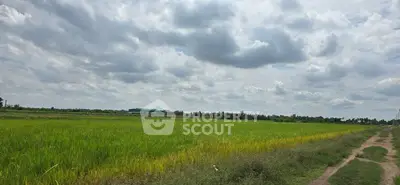 image_rental-27258840