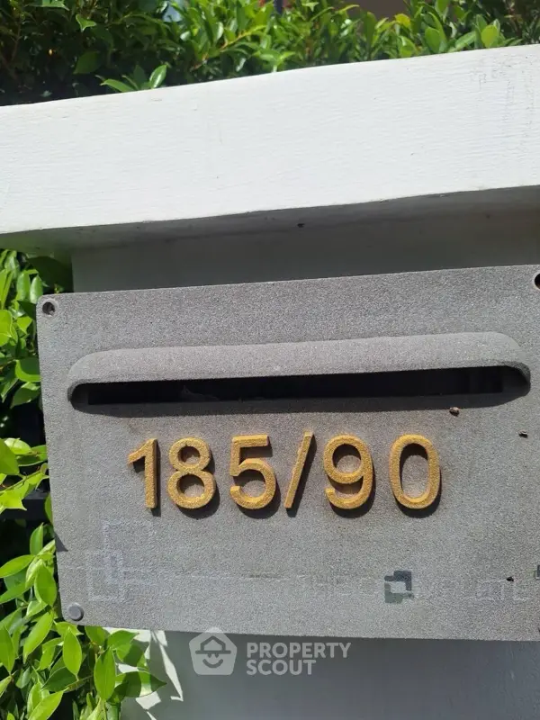 image_rental-30820526