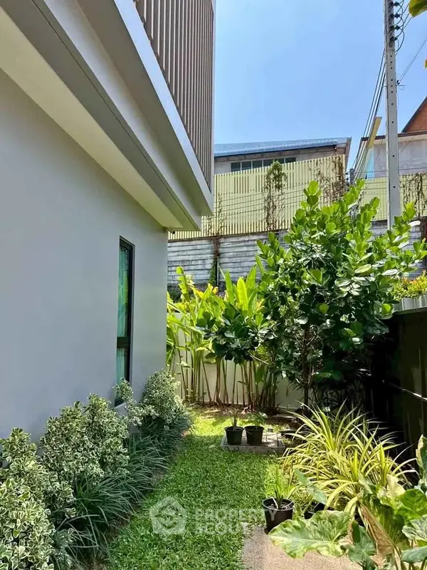 image_rental-31646721