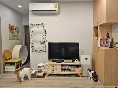 image_rental-30918567