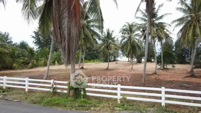 Scenic tropical land with palm trees and white fence, ideal for development.