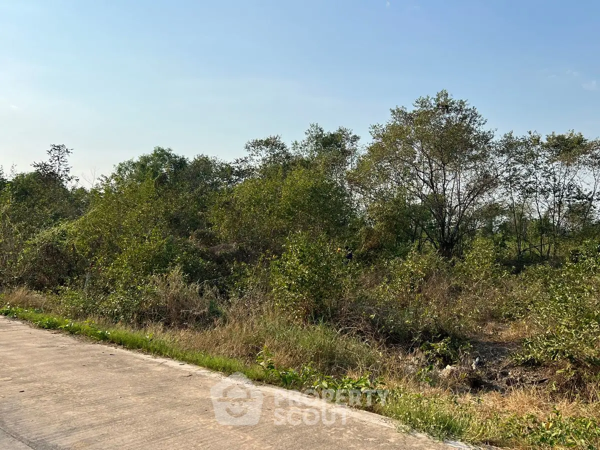Spacious land plot with lush greenery, ideal for development or investment opportunities.