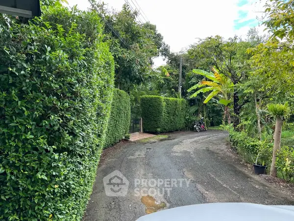 image_rental-26976883