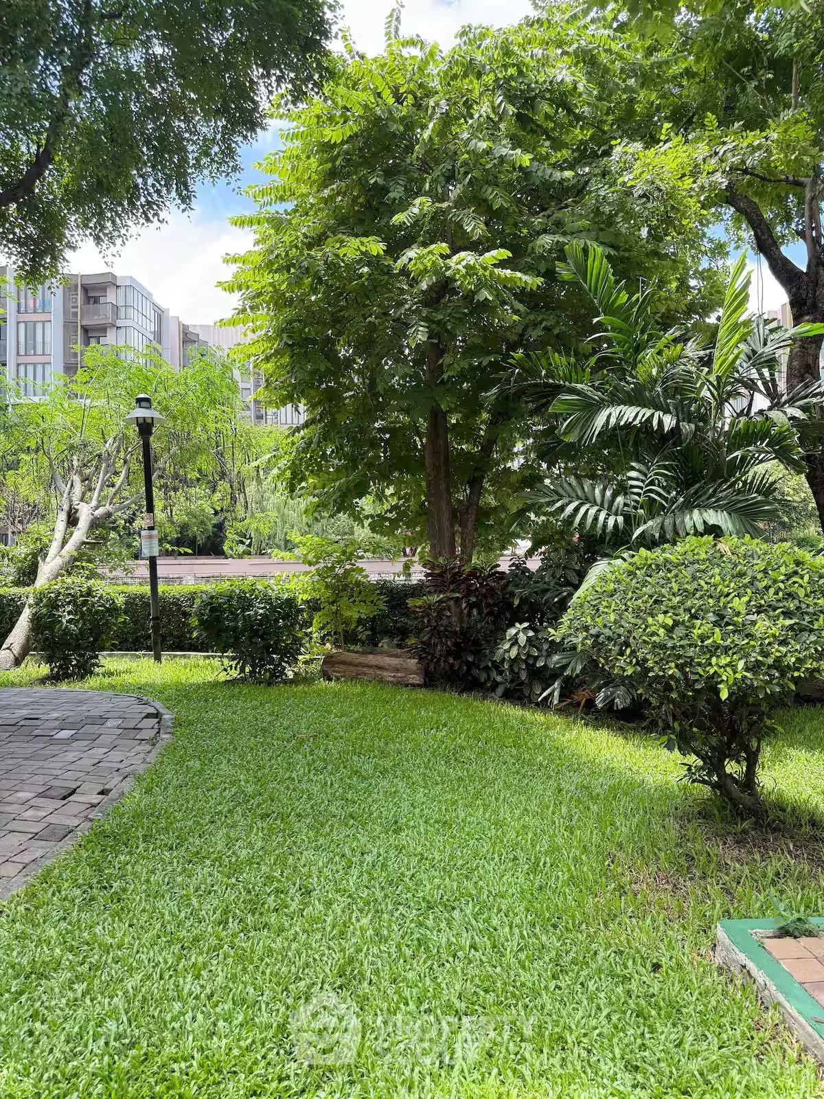 Lush green garden with trees and pathway in a serene residential area.