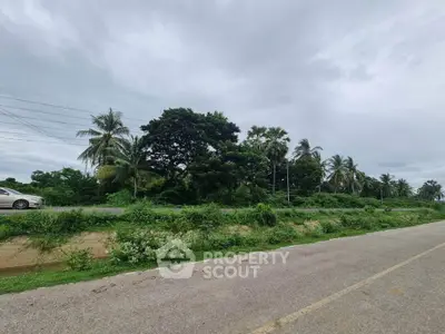 Scenic roadside view with lush greenery and palm trees under a cloudy sky.