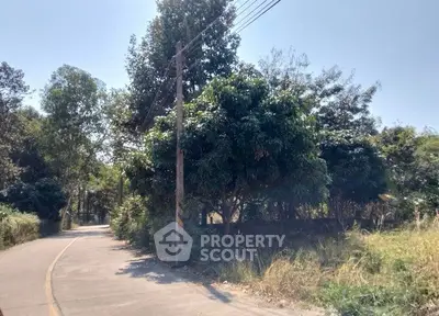 Scenic road view with lush greenery and trees, perfect for serene living or investment.