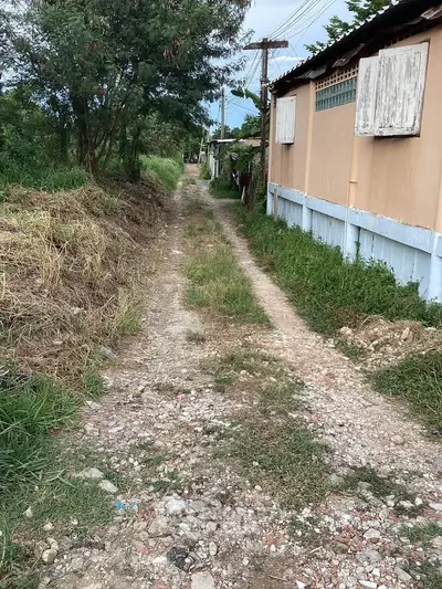 Rural dirt road beside a rustic building with overgrown grass, showcasing countryside charm.