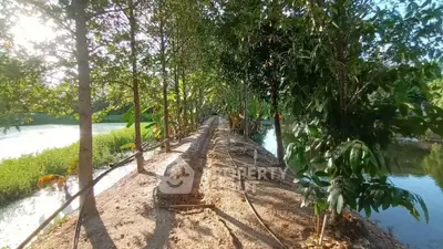 Scenic view of a lush garden pathway surrounded by trees and water, perfect for nature lovers.