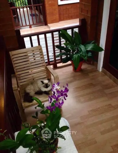 Charming balcony with wooden chair, lush plants, and cozy atmosphere for relaxation.