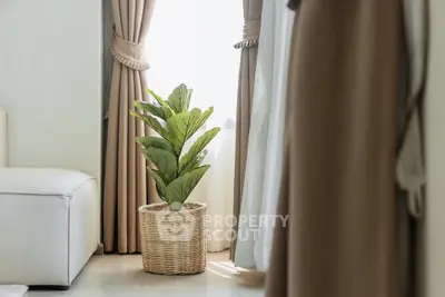 Elegant living room corner with stylish curtains and a decorative plant in a woven basket.