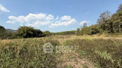 Expansive land with lush greenery and clear blue sky, perfect for development opportunities.