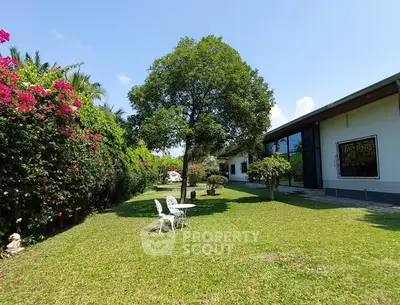 image_rental-30864338