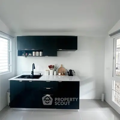 Sleek modern kitchen with black cabinets and minimalist design