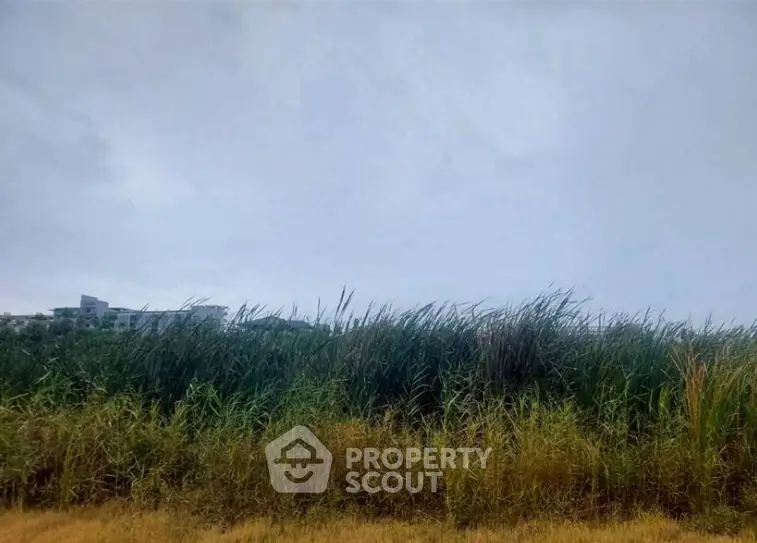 Screenshot 2026-07-23 123722.png