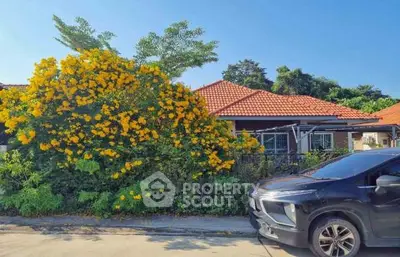 image_rental-21248509