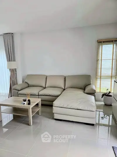 Modern living room with sleek leather sofa and stylish decor