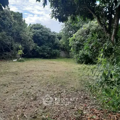 Spacious garden area surrounded by lush greenery, perfect for outdoor activities.