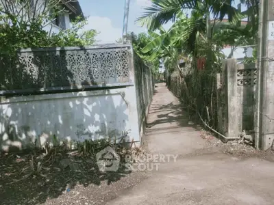 Charming narrow pathway leading to a secluded tropical residence, surrounded by lush greenery and rustic walls.