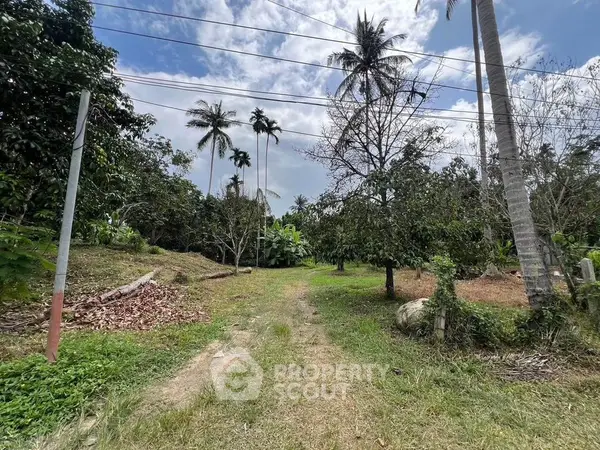 image_rental-17180886