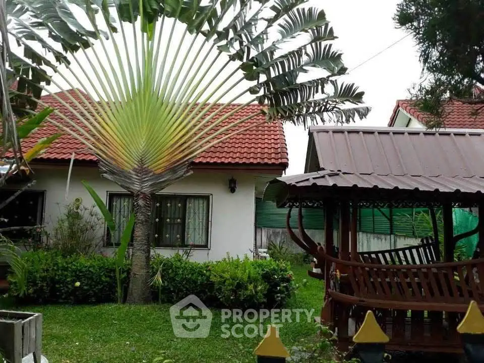 Charming house with red roof and lush garden featuring a unique fan palm tree and wooden gazebo.