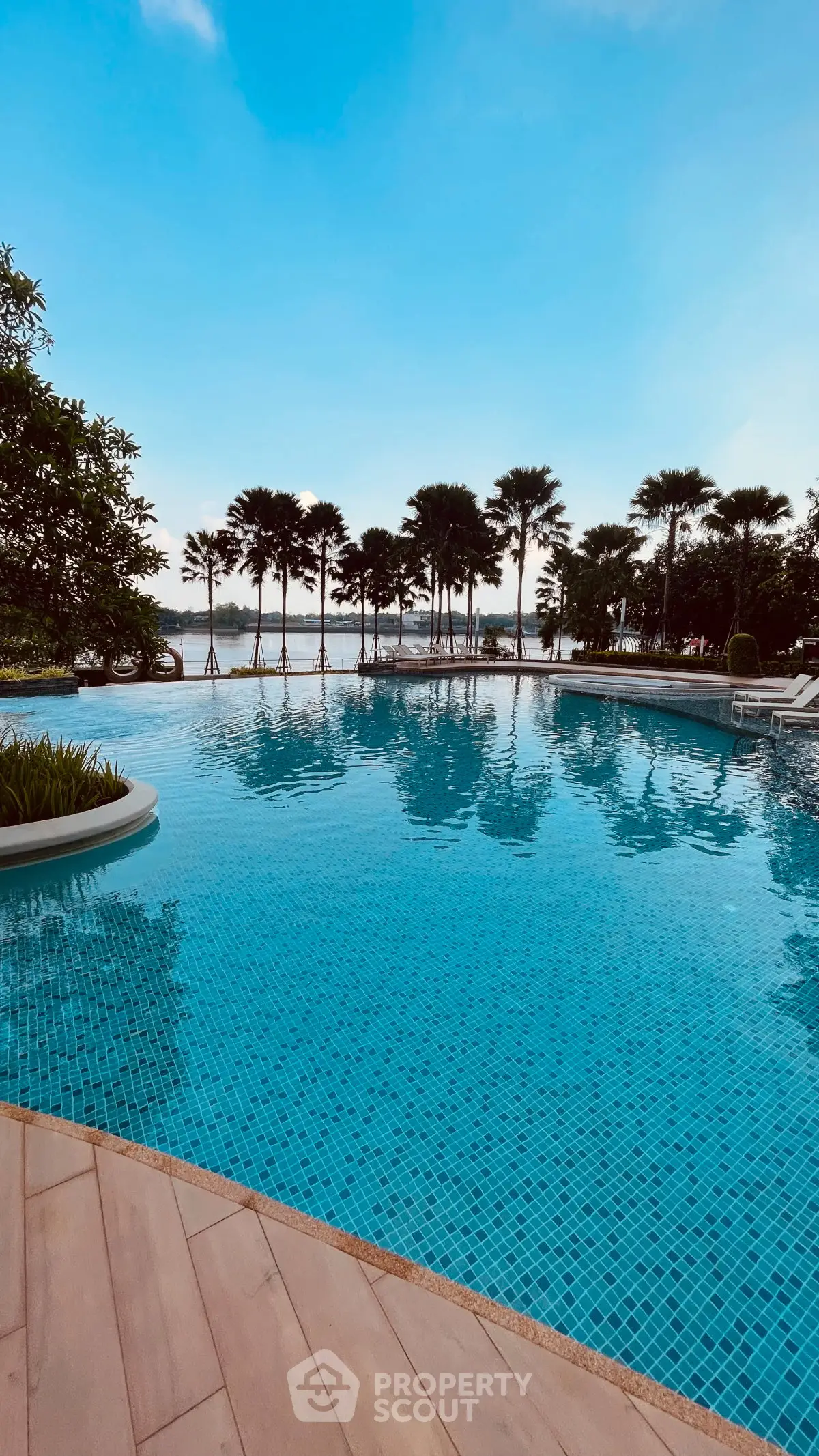 Luxurious poolside view with palm trees and serene water, perfect for relaxation and leisure.