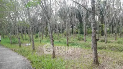 Expansive land plot with lush greenery and mature trees, ideal for development or investment.