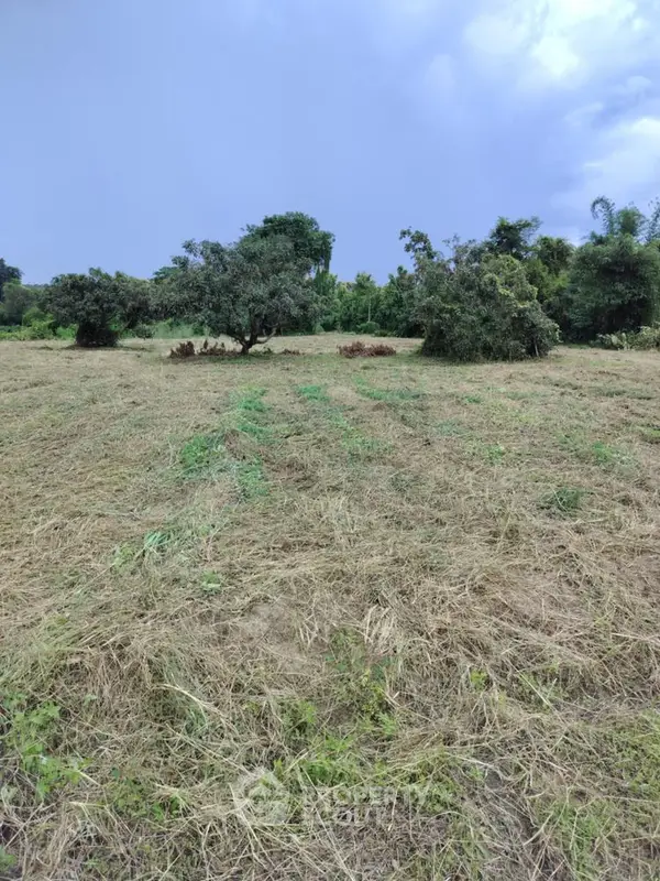 image_rental-27237192