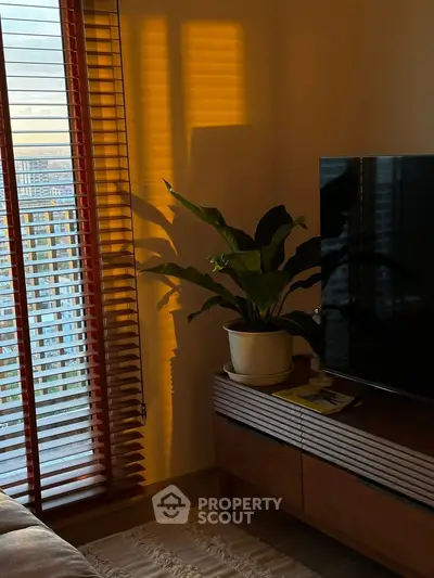 Cozy living room with modern TV stand, potted plant, and warm natural light through blinds.