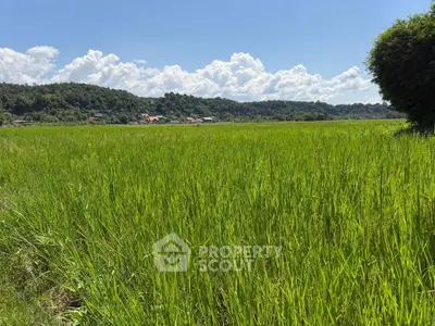 Expansive green field with scenic hill views, perfect for development or agriculture.