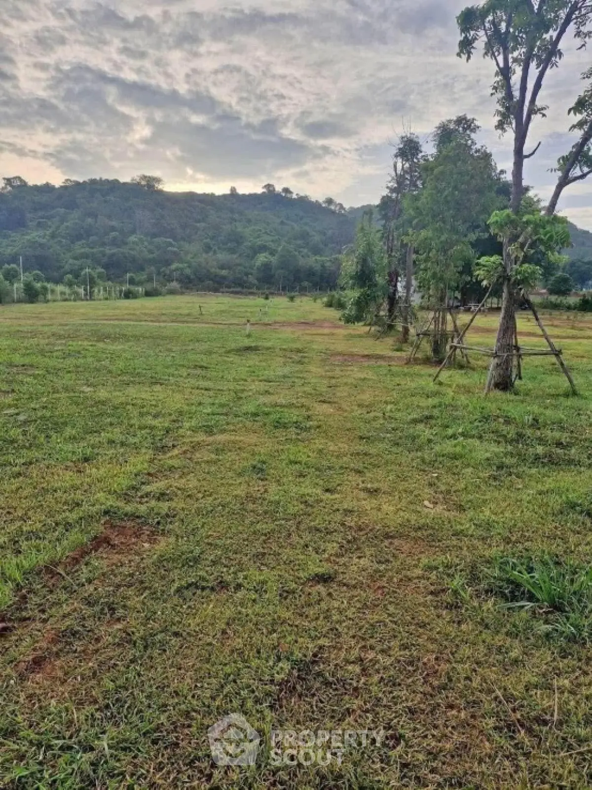 Expansive green land with scenic mountain views perfect for development