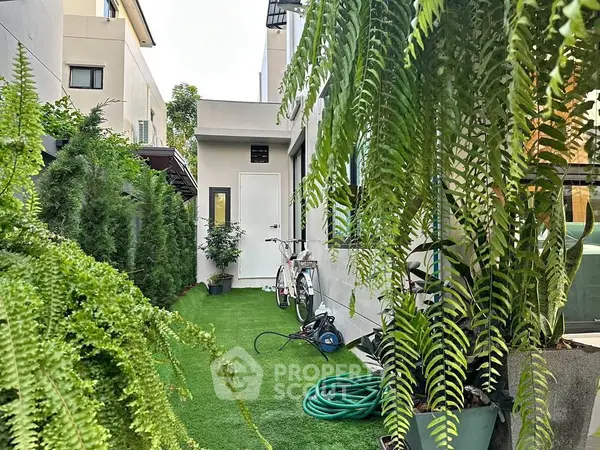 image_rental-23955630