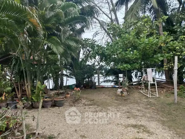 image_rental-29005981