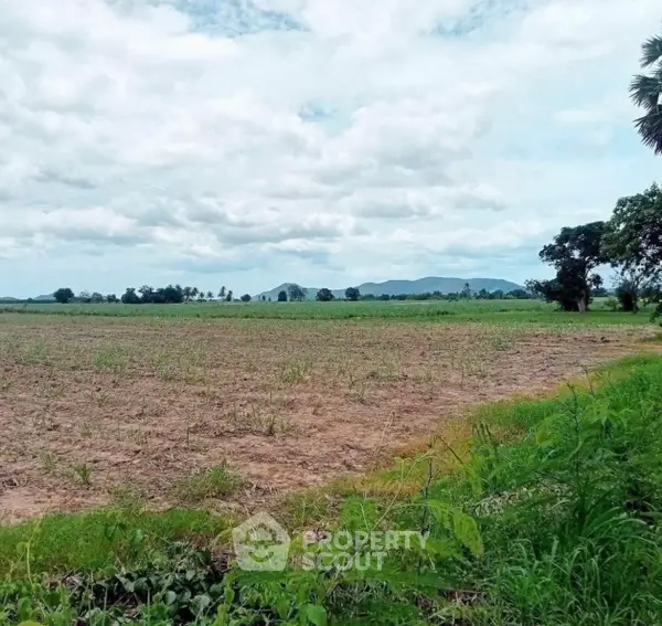 image_rental-16754967