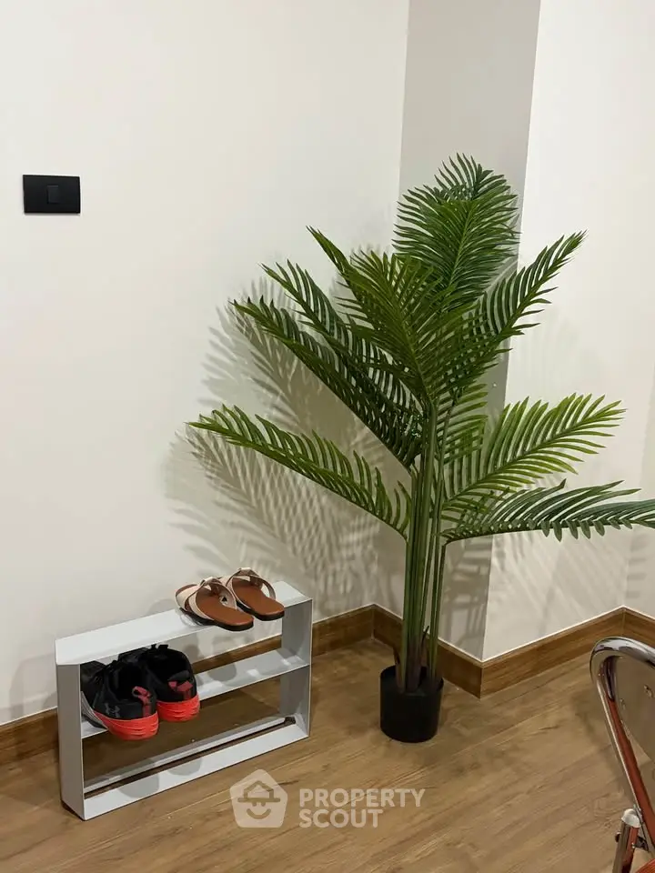 Stylish corner with shoe rack and potted plant on wooden floor, perfect for modern interiors.