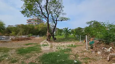 Spacious vacant land with lush greenery and distant building view, ideal for development opportunities.