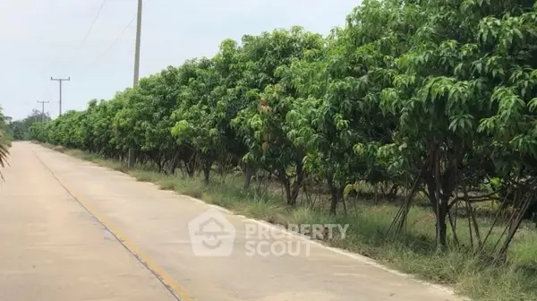 image_rental-11923553